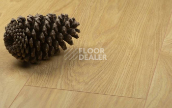 Kronopol Aurum Fiori Aqua Zero d4588 Дуб Sunflower фото 2 | FLOORDEALER
